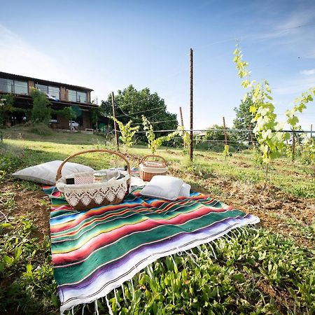 La Ca Dal Non Bioagriturismo - Alpenice Savignano sul Panaro Exterior photo