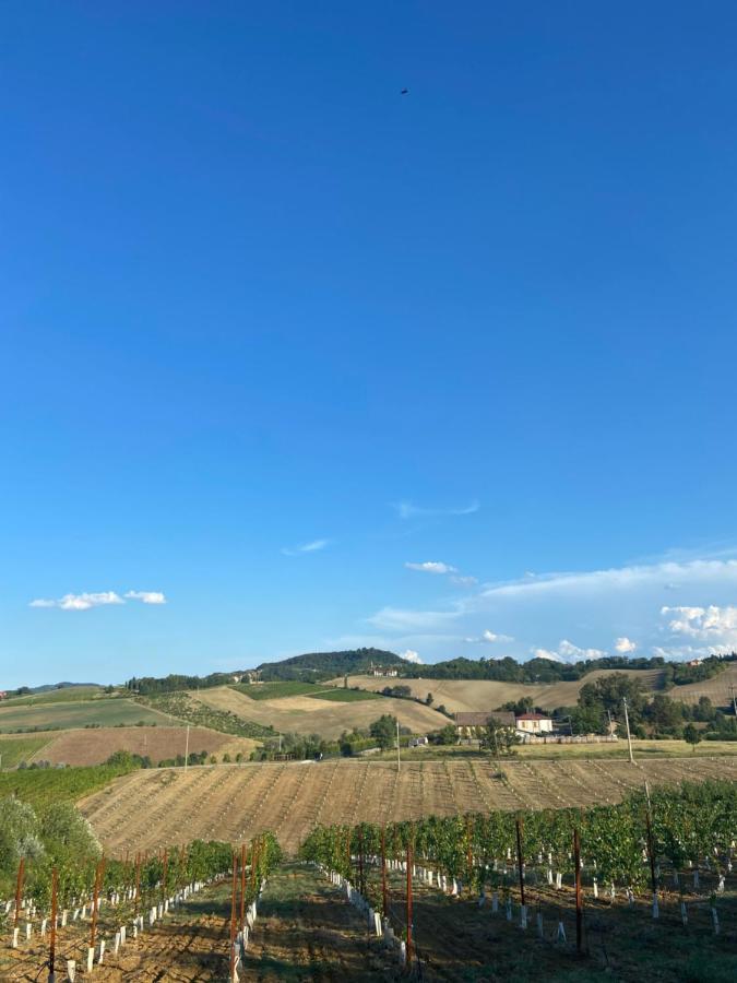 La Ca Dal Non Bioagriturismo - Alpenice Savignano sul Panaro Exterior photo